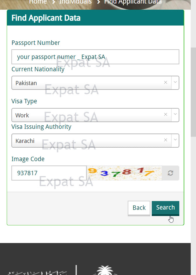 How to find Saudi visa application number online