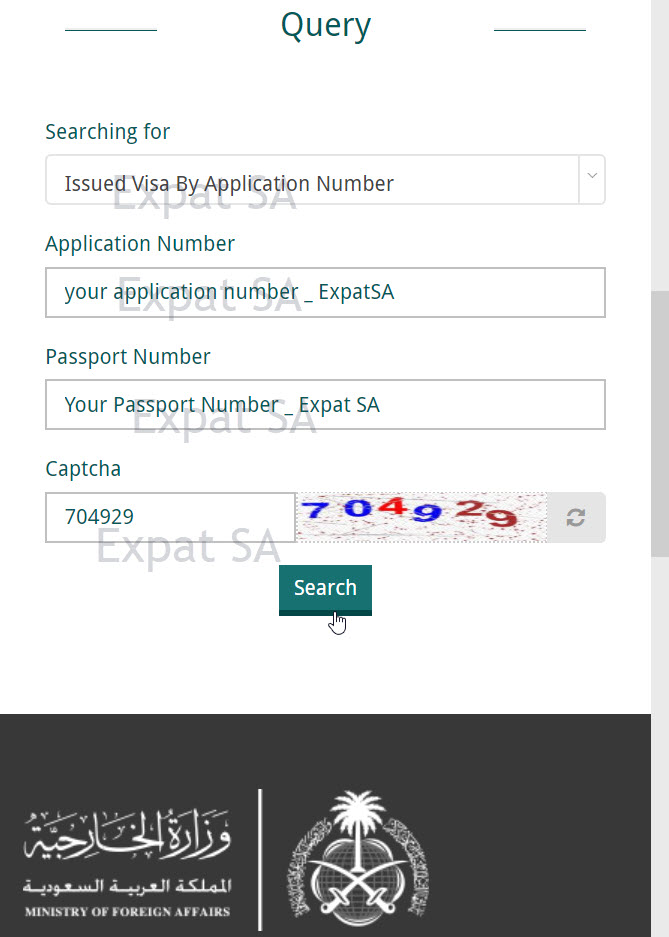 Verify or Check Visa Status via Enjazit